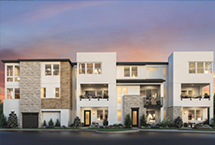 Everly Townhomes