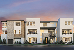 Everly Townhomes